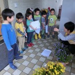 たいよう組　押し花・枝豆・米づくり