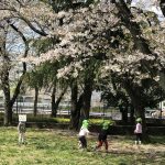 そら組～桜の咲く公園へ散歩にいきました～