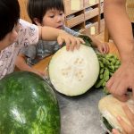 食育　4歳児そら組　冬瓜と枝豆に触れる