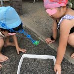 ＜真夏の水族館＞